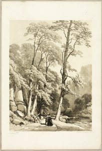 Platane, aus Der Park und der Wald von James Duffield Harding