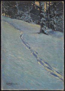 Morgen nach Schnee, High Park