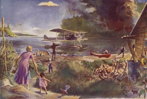 Flugzeug und Waldbrand