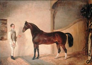 Pferdeknecht mit Jäger auf dem Tredegar-Anwesen, Monmouthshire