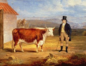 Mr. James Hodges und seine zweijährige Hereford-Färse, ca. 1843 von James Flewitt Mullock