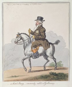 Ein schottisches Pony, allgemein Galloway genannt, veröffentlicht von Hannah Humphrey im Jahr 1803