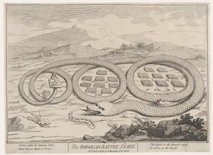 Die amerikanische Klapperschlange, 12. April 1782