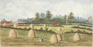 Chirton von Meadowell Farm von James Henry Cleet