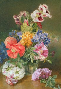 Rosen, Mohn und Pelargonie