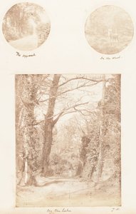 Der Ansatz, Im Wald, Am See, 1853-56 von James Knight