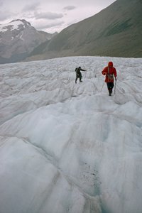 Zwei angeleinte Bergsteiger nähern sich einer Gletscherspalte im Mount Robson Provincial Park