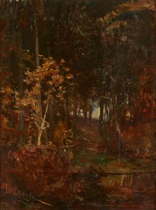 Ein bewaldeter Pfad von James Lawton Wingate