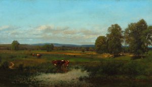Kühe auf der Weide 1870 von James McDougal Hart