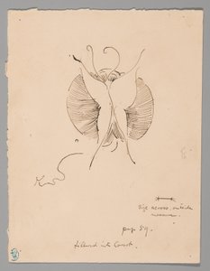 Schmetterling (recto); Fragment eines Schmetterlings (verso) von James McNeill Whistler