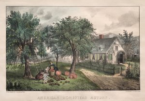 Amerikanisches Gehöft, Herbst