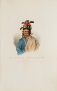 NAH-SHAW-A-GAA Der Sohn des Weißen Hundes, Pottawatomie-Häuptling, aus Das Aboriginal Portfolio