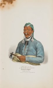 TENS-QUA-TA-WA oder Der, der die Tür öffnet; Shawnese Prophet (Bruder von Tecumthe), aus The Aboriginal Portfolio