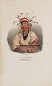 Der kleine Krähe, ein berühmter Sioux-Häuptling, aus dem Aboriginal Portfolio