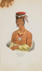 WAA-BIN-DE-BA oder der Weißkopf-Adler; Ein Chippeway-Häuptling, aus The Aboriginal Portfolio von James Otto Lewis