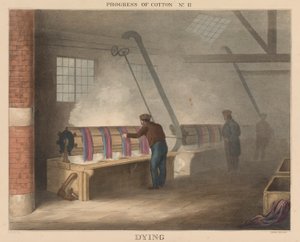 Fortschritt der Baumwolle: Nr. 11 - Färben von James Richard Barfoot
