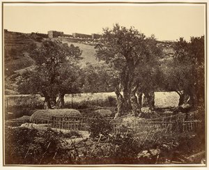 Der Garten Gethsemane von James Robertson