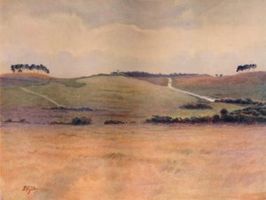 Chobham Common von James S Ogilvy