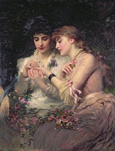 Eine Dornrose