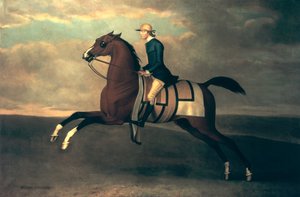 Flying Childers von James Seymour