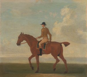 Eines von vier Pferdeporträts - ein kastanienbraunes Rennpferd mit Jockey: nach links gehend; Jockey in gelber Jacke von James Seymour