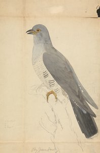  von James Sowerby