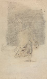 Eine Maus von James Sowerby
