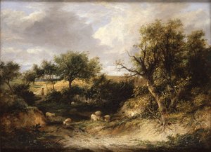 Waldlandschaft