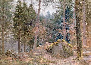 In einem walisischen Wald, Winter von James Thomas Watts