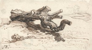 Ein Baumstamm auf dem Boden von James Ward