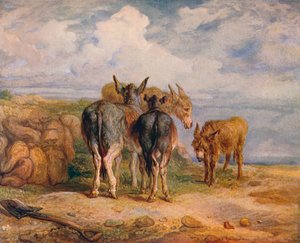 Esel, ca. 1831-1904