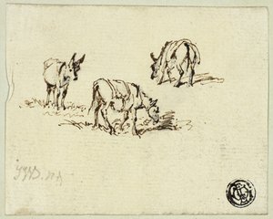 Pferd und Maultiere beim Grasen