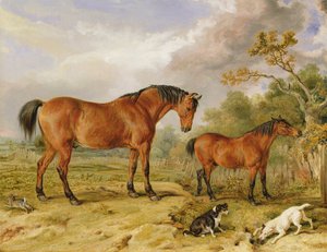 Porträt von Reformer, Blucher, Tory und Crib, das Eigentum von Rowland Alston, Esq. von James Ward
