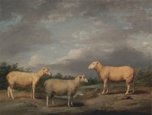 Ryelandschafe, der Widder des Königs, das Mutterschaf des Königs und der Hammel von Lord Somerville von James Ward