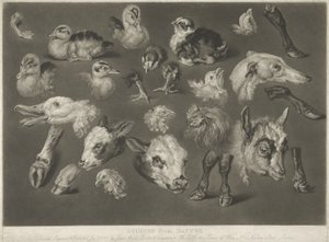 Studien aus der Natur, 1807 von James Ward