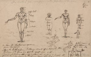 Studien der Anatomie, Maße und Schrift von James Ward