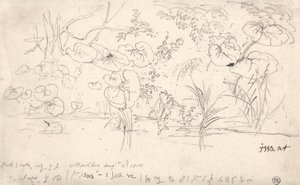 Studien von Pflanzen, 2. August 1815