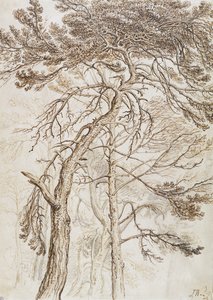 Studie von Bäumen von James Ward