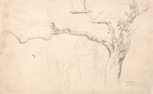 Baumstudie von James Ward