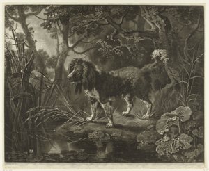 Spaniel am Wasser schaut auf fliegende Ente von James Watson (prentmaker)