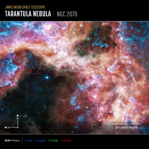 30 Doradus von James Webb Space Telescope (NASA)