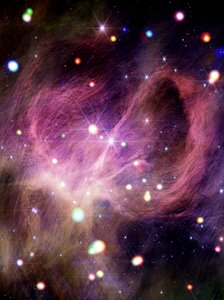 IC 348 (Webb + Chandra)