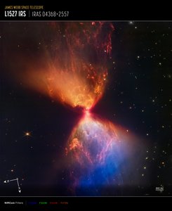 L1527 und Protostern