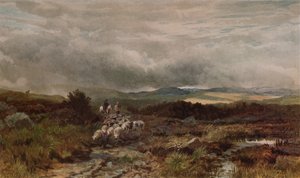 Bergstraße, Capel Curig, Nordwales, 1938