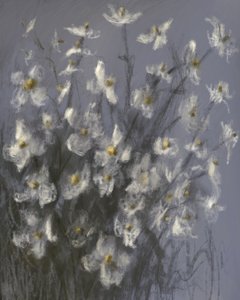 Träumende weiße Blumen von James Zamora