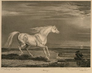Marengo, aus Berühmte Pferde, eine Serie von vierzehn Rennbildern, veröffentlicht vom Künstler, 1823-24 von James after Ward