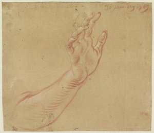 Studie eines rechten Arms von Jan Anton Garemyn