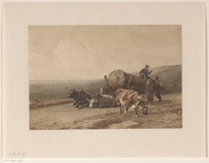 Ruhende Ochsen von Jan Bedijs Tom