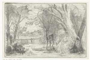 Parklandschaft mit Hirsch von Jan Bos Wz.