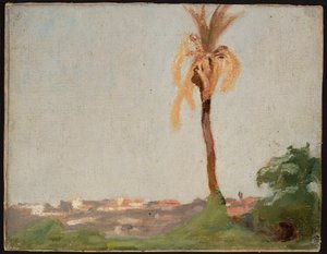Grab eines Heiligen - Landschaft mit Palme. Von der Reise nach Indien von Jan Ciągliński